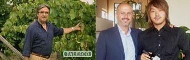 ファレスコ サン・ピエトロ・ヴェルメンティーノ 2017 年 750ml （イタリア 白ワイン）