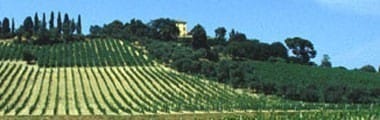バローネ コルナッキア モンテプルチアーノ ダブルッツォ 2017 赤ワイン イタリア