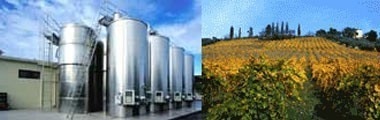 バローネ コルナッキア モンテプルチアーノ ダブルッツォ 2017 赤ワイン イタリア