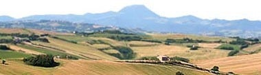 ヨーリオ モンテプルチーアノ・ダブルッツォ 2019年 ウマニ・ロンキ 750ml （イタリア アブルッツォ 赤ワイン）