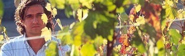 プリミ・ビアンコ ウマニ・ロンキ社 （白ワイン・イタリア）｜777円均一ワイン