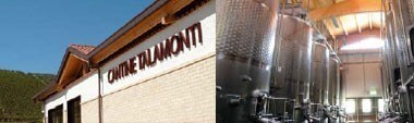 トラボケット ペコリーノ 2020年 タラモンティ社 750ml （イタリア 白ワイン）