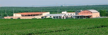 カステル・デル・モンテ ネーロ・ディ・トロイア ヴィオランテ 2014年 リヴェラ社 （赤ワイン・イタリア）