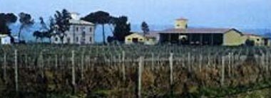 レ・マンフレディ アリアニコ・デル・ヴルトゥレ タグリオ・デル・トラルチオ 2015年 テッレ・ディ・スヴェーヴィ 正規 750ml （イタリア 赤ワイン）