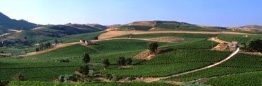 コルヴォ ビアンコ 2021年 ハーフサイズ ドゥーカ・ディ・サラパルータ IGTシチリア （白ワイン・イタリア）