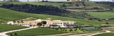 フェウド・アランチョ インツォリア 2022年 750ml （イタリア シチリア 白ワイン）