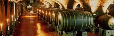 シュタインベルガー・リースリング 2018年 クロスター・エバーバッハ 750ml （ドイツ 白ワイン）