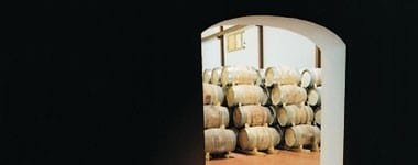 エル・ビンクロ 2016年 ボデガス・アレハンドロ・フェルナンデス 正規 750ml （スペイン 赤ワイン）