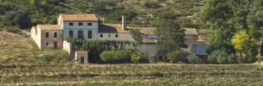 カスティーリョ・デ・エンゲラ クリアンサ 2018年 ボデガス・エンゲラ 750ml （スペイン 赤ワイン）
