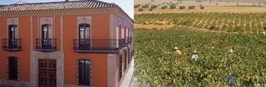 ブルメ ベルデホ 2020年 フェリックス ソリス社 750ml スペイン 白ワイン