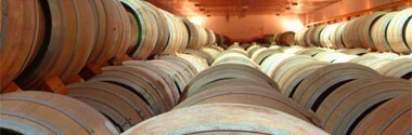 ブルメ ベルデホ 2020年 フェリックス ソリス社 750ml スペイン 白ワイン