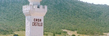 ラス・グラバス 2007年 カサ・カスティーリョ 750ml （スペイン 赤ワイン）