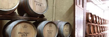 ビンス・パドロ イプシス・ブランク・フロール 2017年 DOタラゴナ 750ml （スペイン 白ワイン）