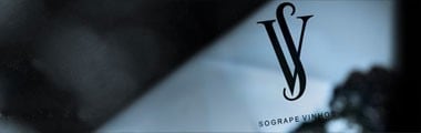 マテウス ロゼ ソグラペ・ヴィノス・デ・ポルトガル 750ml オリジナル小皿付き （ポルトガル ロゼワイン）