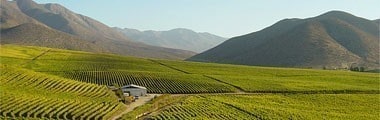 ヴィーニャ ファレルニア ピノ ノワール グラン レセルバ 2018 750ml チリ 赤ワイン