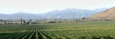 白ワイン サンタ カロリーナ プレミオ 2022 （チリ）｜555円均一ワイン