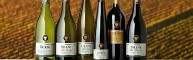 シレーニ セラー セレクション ソーヴィニヨン ブラン 2023 マールボロ ニュージーランド 辛口 白ワイン 750ml