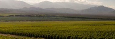 カリア アルタ マルベック 2021年 ボデガス・カリア （アルゼンチン・赤ワイン）