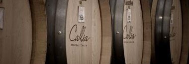 カリア アルタ マルベック 2021年 ボデガス・カリア （アルゼンチン・赤ワイン）