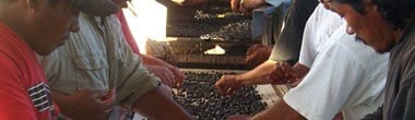 ハーシュ・ヴィンヤーズ サン・アンドレアス・フォルト ピノ・ノワール 2012年 正規 750ml (アメリカ カリフォルニア 赤ワイン）