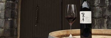 登美 ノーブル ドール 2010年 サントリー 登美の丘ワイナリー ハーフサイズ 375ml 日本 白ワイン 日本ワイン