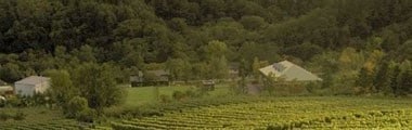 グランポレール 安曇野池田ヴィンヤード ソーヴィニヨン・ブラン 2016年 750ml （日本 長野 白ワイン）