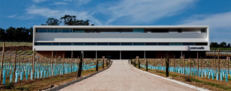 2012年 アデガマイン テロワール ティント 2012 ロウ封印キャップ ポルトガル 赤ワイン ワイン 辛口 フルボディ 750ml