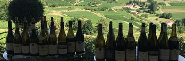 サン・ロマン スー・ル・シャトー ブラン 2020年 ドメーヌ・バロレ・ペルノ 750ml （フランス ブルゴーニュ 白ワイン）