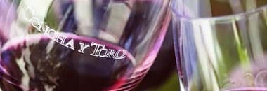 プードゥ ソーヴィニヨン・ブラン＆セミヨン NV コンチャ・イ・トロ 750ml （チリ 白ワイン）
