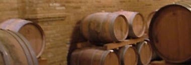 ファンティーニ サンジョヴェーゼ ファルネート・ヴァレー 2021年 ファルネーゼ IGTテッレ・ディ・キエーティ （赤ワイン・イタリア）