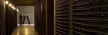 【大型マグナム】フェッラーリ (フェラーリ) ブリュット (メトッド クラシコ) シャンパン方式 瓶内2次発酵方式 正規 イタリア DOCトレント 大型ボトル 泡 白 スパークリングワイン ワイン 辛口 1500ml