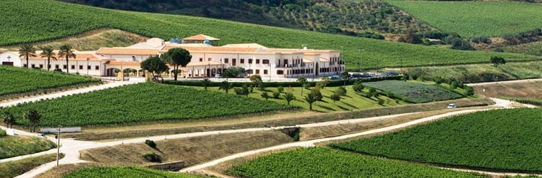 フェウド アランチョ ネロ ダーヴォラ 2021年 750ml イタリア 赤ワイン