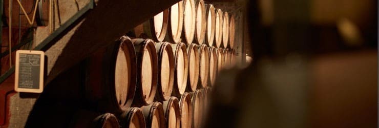 ブルゴーニュ ピノ・ノワール 2018年 フレデリック・マニアン 750ml 正規 （フランス ブルゴーニュ 赤ワイン）