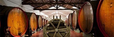 ガヴィオリ ランブルスコ・エミリア・ロッソ アマービレ フラワーボトル 750ml （イタリア 赤ワイン スパークリングワイン）