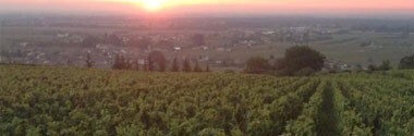 ブルゴーニュ シャルドネ 2018年 ドメーヌ・ジョバール・モレ 750ml （フランス ブルゴーニュ 白ワイン）