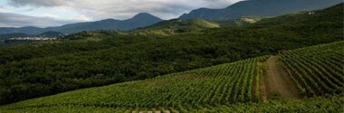 ディアポロス 2016年 キリ・ヤーニ 750ml （ギリシャ 赤ワイン）
