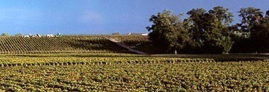 ル・オー・メドック・ド・ラグランジュ 2015年 750ml （フランス ボルドー オー・メドック 赤ワイン）