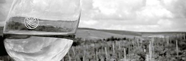 シャブリ プルミエ・クリュ レ・ヴォードヴェ 2016年 ドメーヌ・ラロッシュ 750ml 正規 （フランス ブルゴーニュ 白ワイン）