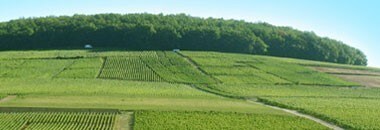 シャブリ プルミエ・クリュ モンテ・ド・トネール 2015年 ルイ・ジャド 750ml 正規 （フランス ブルゴーニュ 白ワイン）
