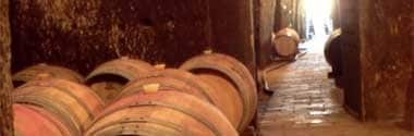 アルバリン ブランコ 2021年 パルデバジェス 750ml （スペイン 白ワイン）