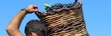 タロ ネグロアマーロ 2019年 カンティーネ・サン・マルツァーノ 750ml （イタリア プーリア 赤ワイン）