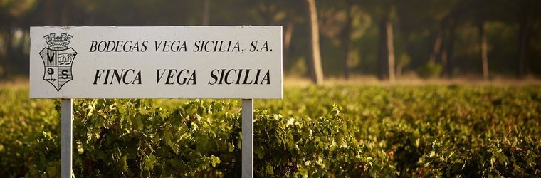 バルブエナ シンコ・アニョ 2013年 ボデガス・ベガ・シシリア 750ml 正規 （スペイン 赤ワイン）