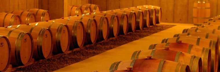ファレルニア ナンバーワン 2017年 ヴィーニャ・ファレルニア 750ml （チリ 赤ワイン）