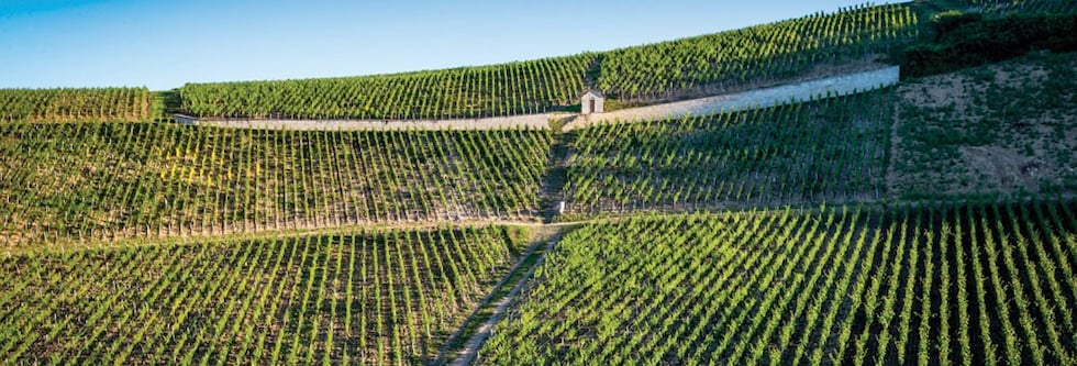 シャブリ ラ・キュヴェ・デパキ 2021年 アルベール・ビショー 750ml 正規 (フランス ブルゴーニュ 白ワイン）