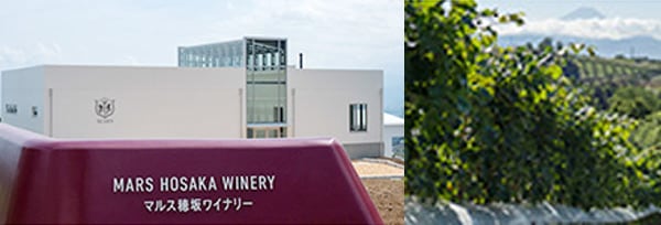 シャトー マルス 穂坂プレミアム カベルネ ベーリーA 収穫 2020 マルス山梨ワイナリー 750ml 赤ワイン