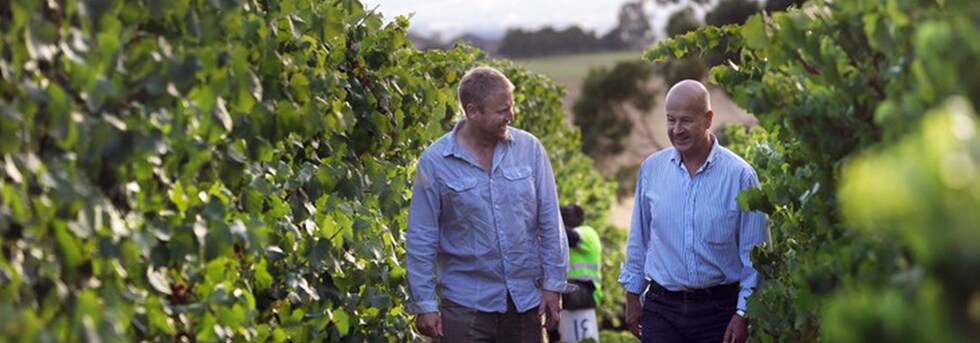 トルパドル ヴィンヤード シャルドネ 2018年 750ml オーストラリア 白ワイン