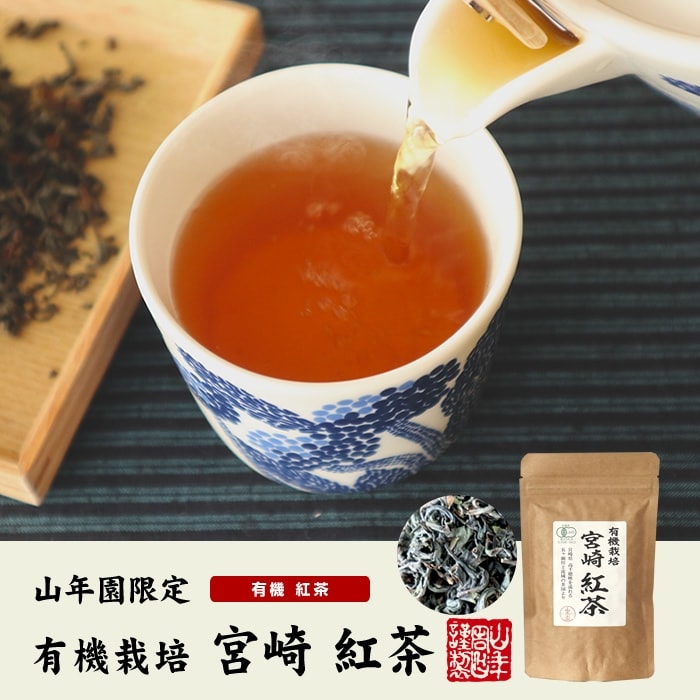 有機栽培 宮崎紅茶