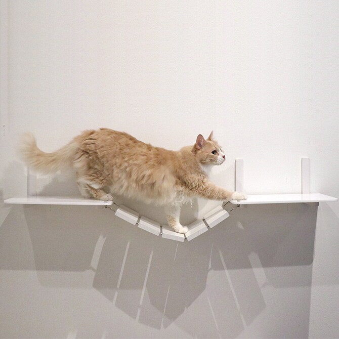 animacolle アニマコレ Catroad+ キャットブリッジ  猫 キャットステップ キャットブリッジ キャットウォーク キャットタワー 壁 DIY 上下運動 白 橋  