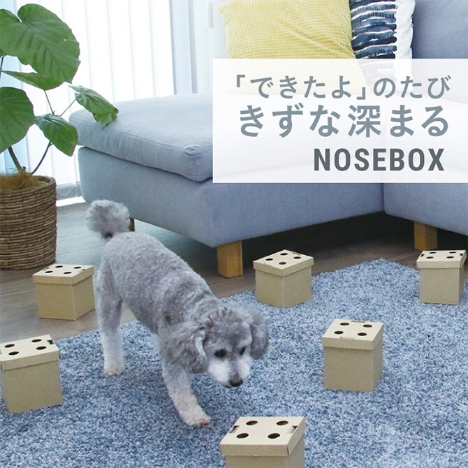 LEONIMAL リオニマル NOSEBOX ノーズボックス  犬用 おもちゃ 嗅覚 探す サイコロ キューブ おやつ 訓練 トレーニング しつけ  