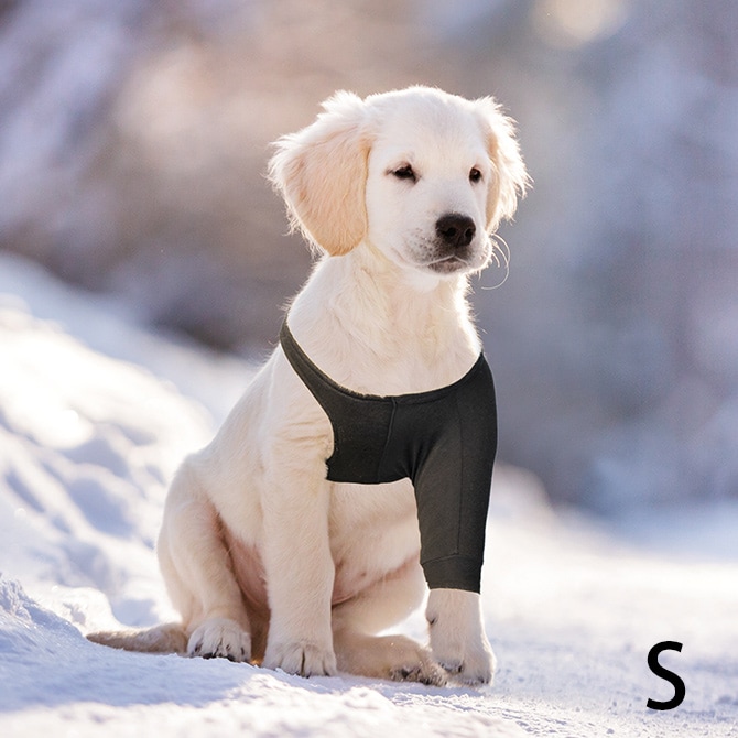 Suitical スーティカル リカバリー・スリーブ S  犬 サポーター 保護服 前脚用 皮膚疾患 エリザベスカラー 犬の服 伸縮  